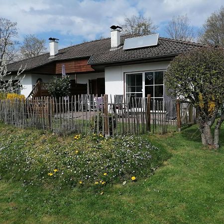 Frankenau Ferienhaus Rudi מראה חיצוני תמונה